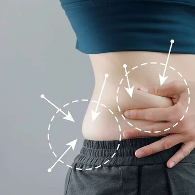 LIPOTRANSFERENCIA EN GUAYAQUIL